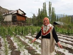 Dolu ekili arazileri vurdu 